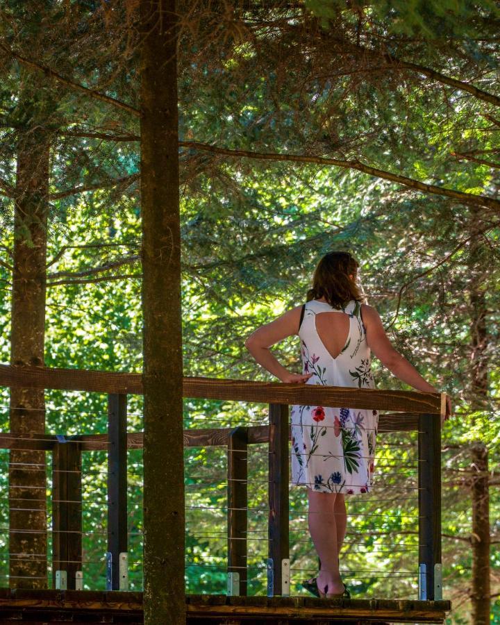 Novosiele Residence - Nad Gorska Rzeka - Lesne Spa Sauna Jacuzzi - Bieszczady Bystre  Esterno foto